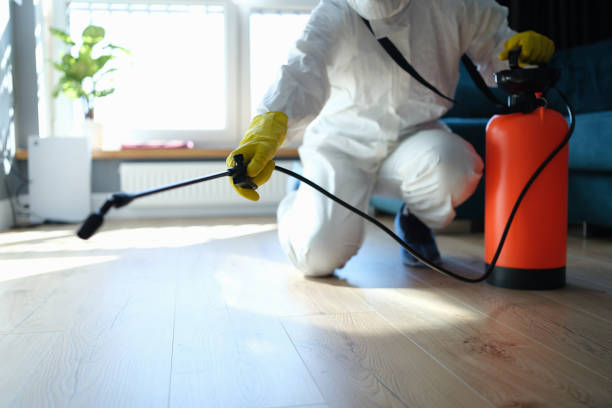 Reliable Odor Removal contractor in Lanham, MD by Trauma Clean Pros